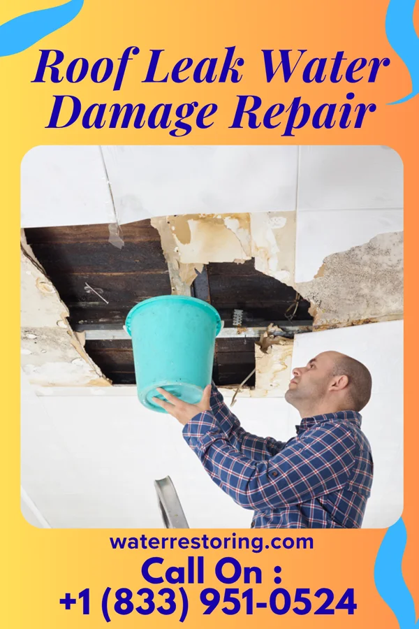 Roof Leak Water Damage Repair in Conway, ND