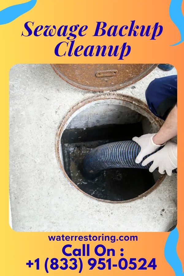 Sewage Backup Cleanup in Conway, ND