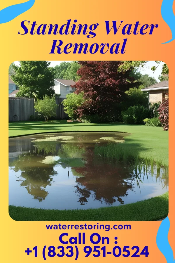 Standing Water Removal in Conway, ND